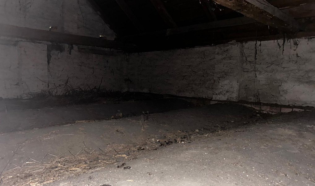 Prodej domu 85 m² s pozemkem 616 m², Senice na Hané – náhled fotky 19