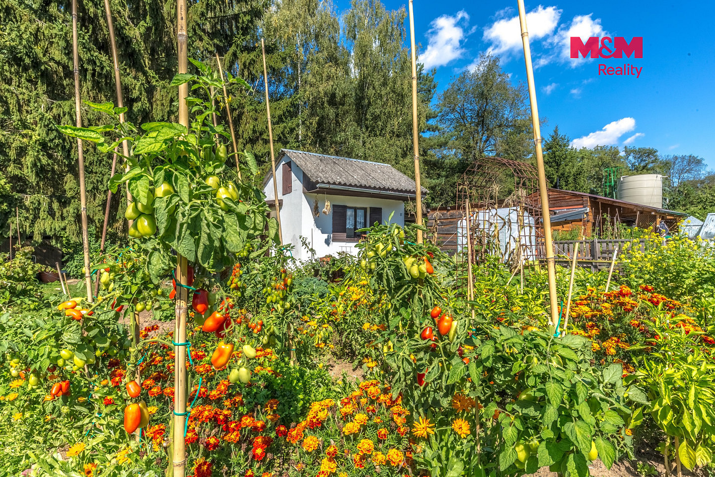 Prodej chaty/chalupy 16 m² s pozemkem 298 m² – fotografie 4