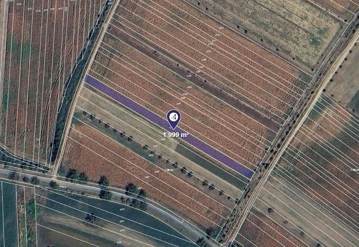 Prodej pole 1 000 m²
