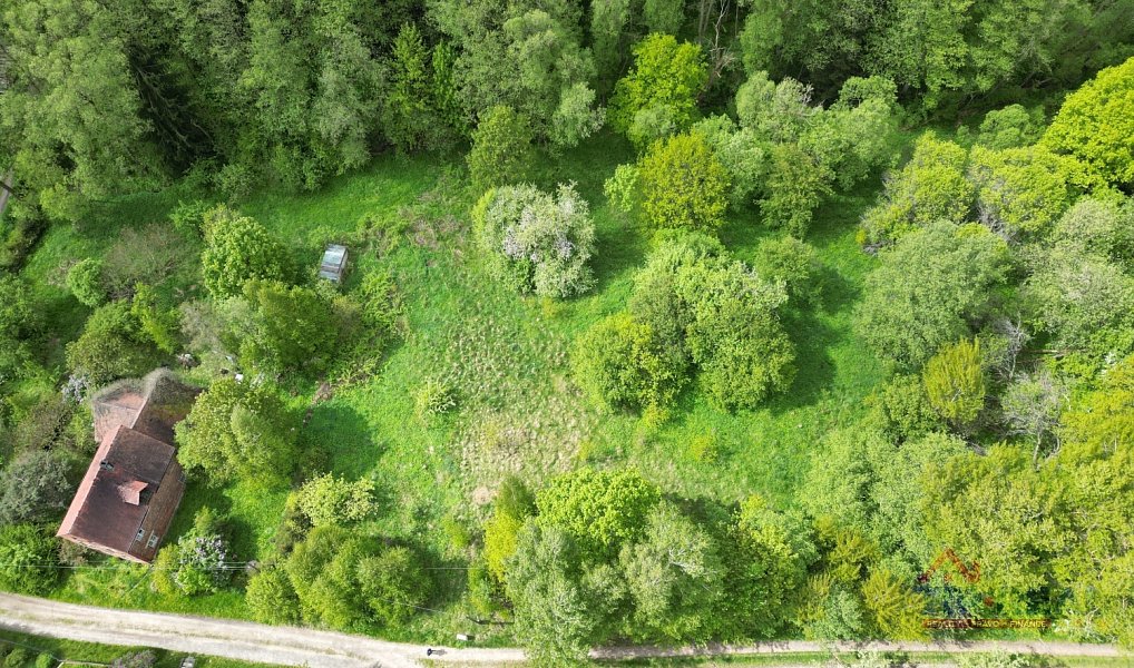 Prodej stavebního pozemku 1 769 m², Višňová – náhled fotky 6
