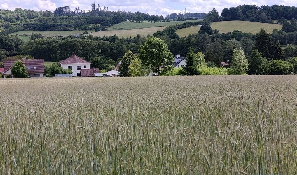 Prodej zemědělského objektu 2 020 000 m², Pavlov – náhled fotky 2