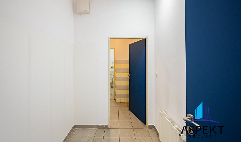 Pronájem obchodních prostor 224 m², Praha – náhled fotky 10