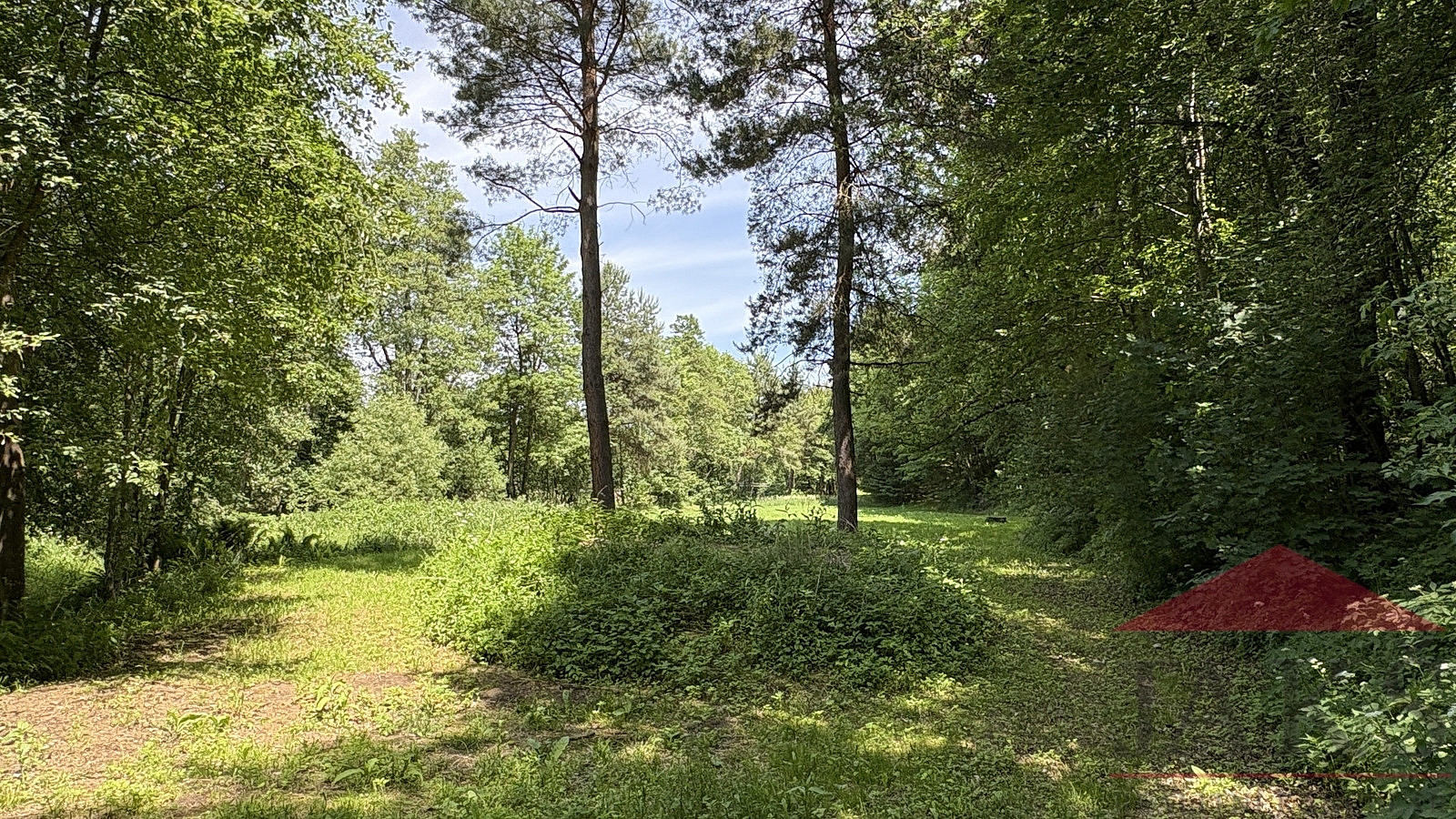 Prodej zahrady 4 420 m² – fotografie 5