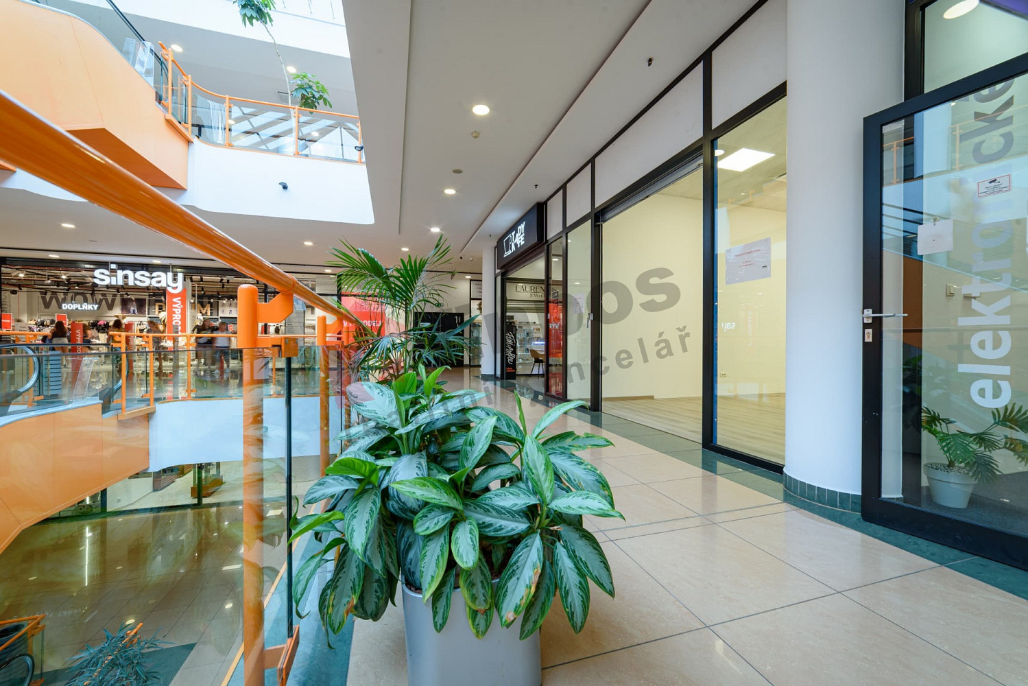 Pronájem obchodních prostor 37 m² – fotografie 2