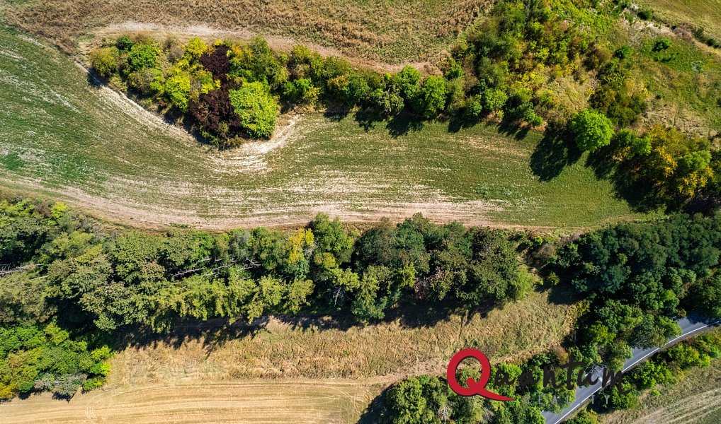 Prodej stavebního pozemku 16 339 m², Brandýsek – náhled fotky 29