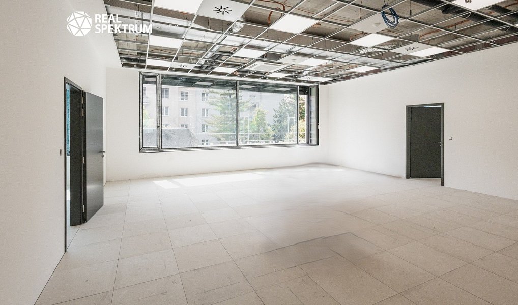 Pronájem kanceláře 613 m², Brno – náhled fotky 6