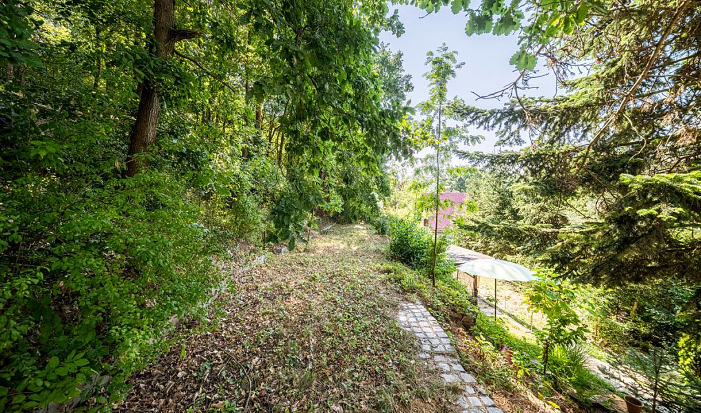 Prodej chaty/chalupy 90 m², Buchlovice – náhled fotky 12