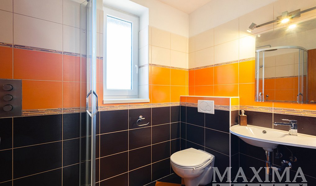 Prodej domu 250 m² s pozemkem 1 421 m², Sedlec-Prčice – náhled fotky 16