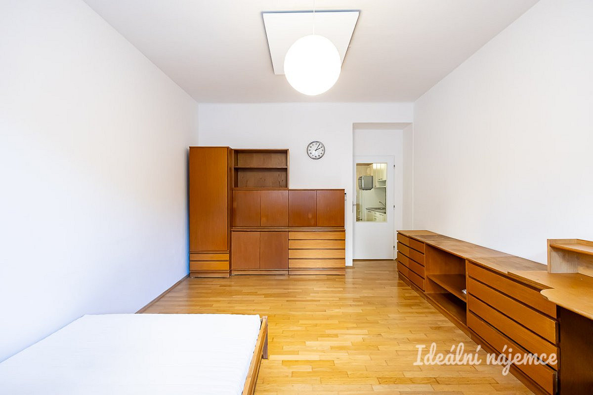 Pronájem bytu 1+kk 29 m² – fotografie 2
