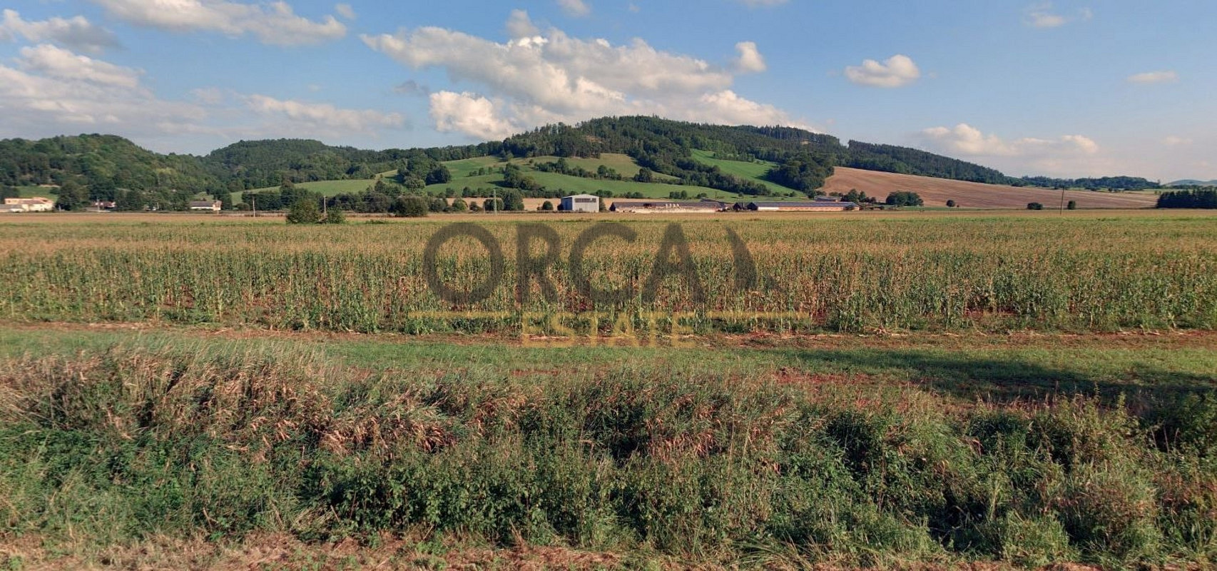Prodej pole 4 545 m² – fotografie 3