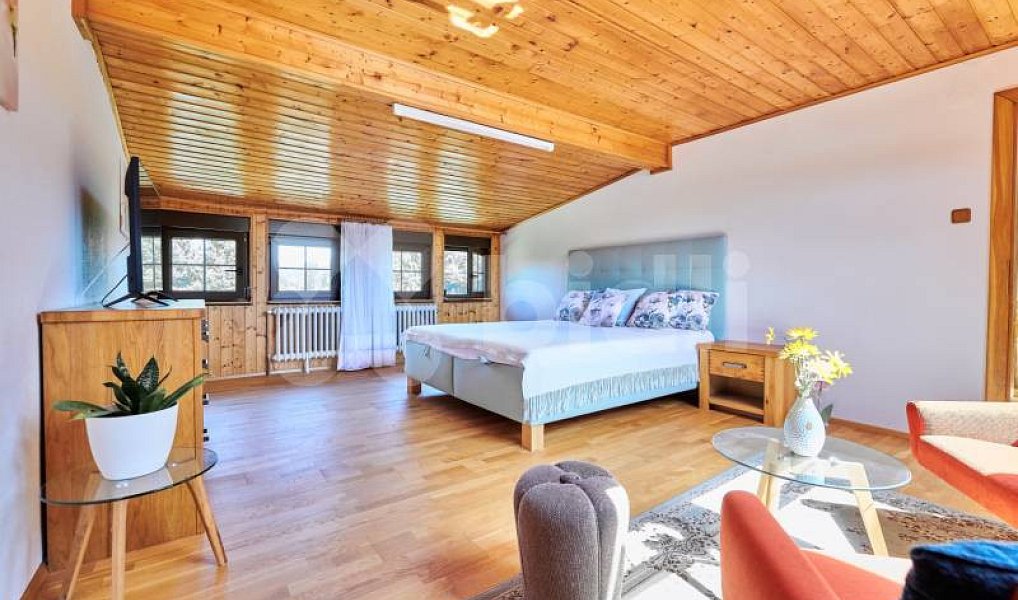 Prodej ubytovacího objektu 1 350 m², Želetava – náhled fotky 23
