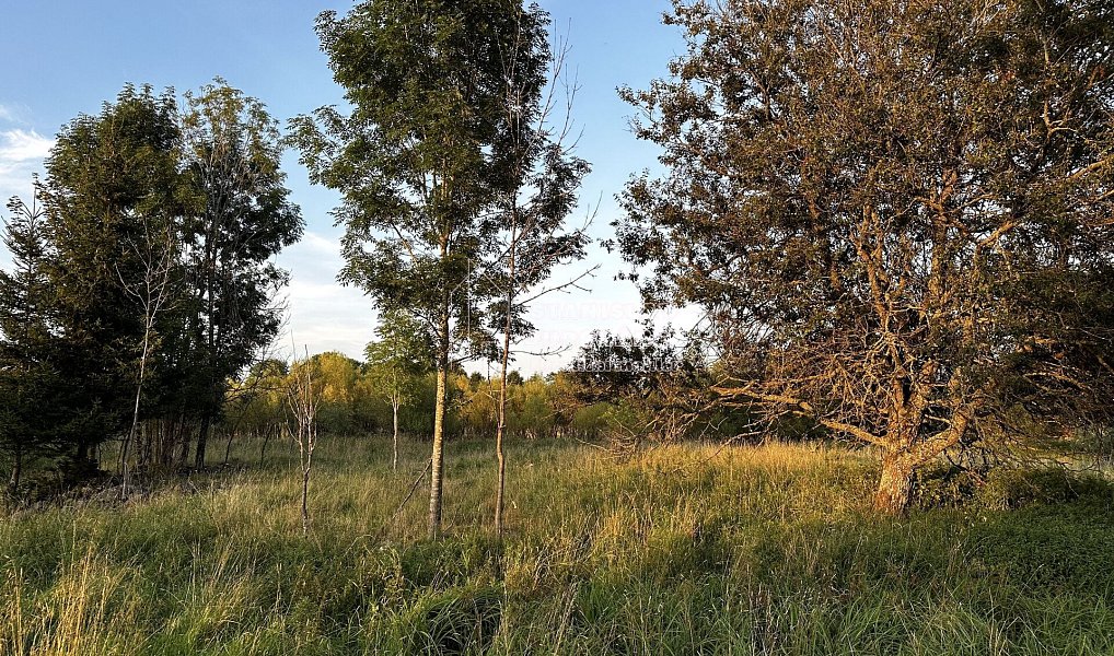 Prodej stavebního pozemku 1 713 m², Nová Ves – náhled fotky 2