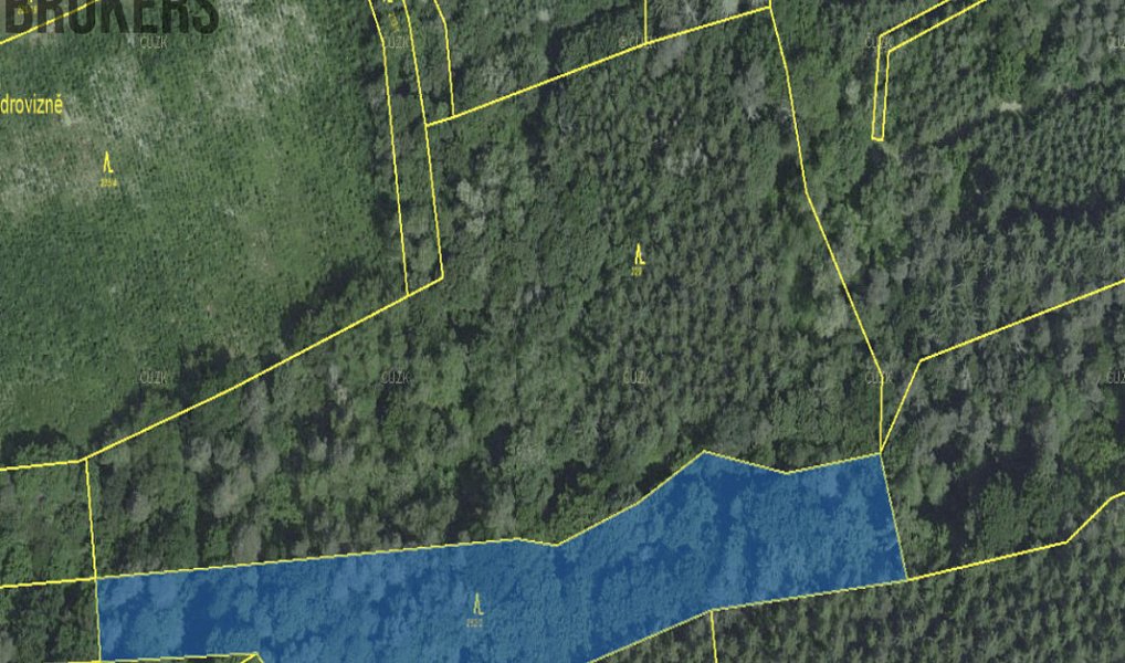 Prodej lesa 21 836 m², Hracholusky – náhled fotky 5