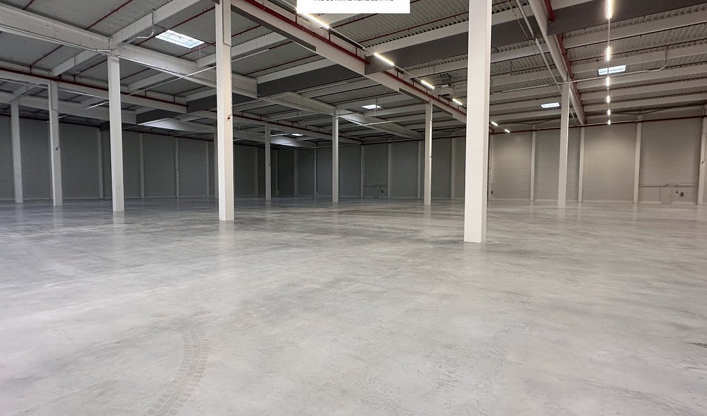 Pronájem skladovacích prostor 3 500 m², Myslinka – náhled fotky 6