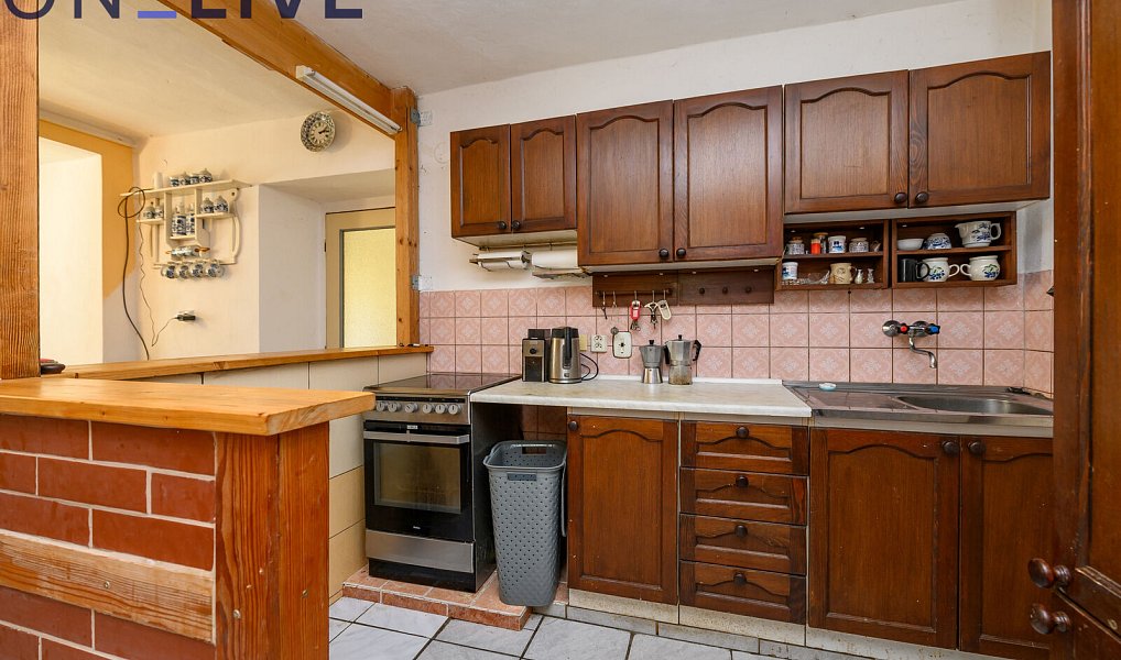 Prodej domu 234 m² s pozemkem 1 080 m², Tužice – náhled fotky 14