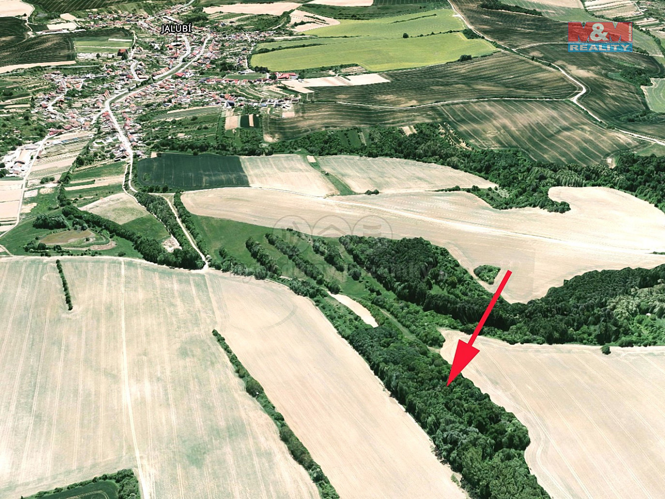 Prodej louky 1 189 m²
