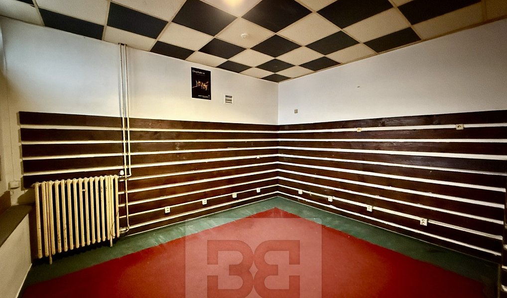 Pronájem obchodních prostor 150 m², Neratovice – náhled fotky 5