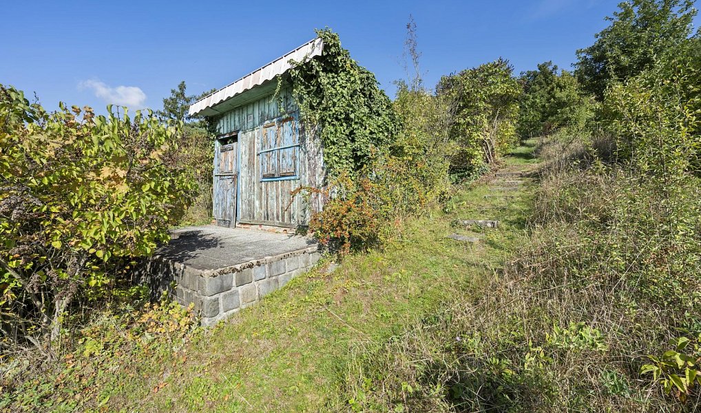 Prodej zahrady 1 346 m², Brno – náhled fotky 6