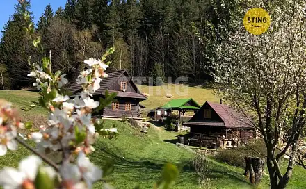 Prodej domu 2 989 m² s pozemkem 17 580 m², Hutisko-Solanec - Solanec pod Soláněm, okres Vsetín