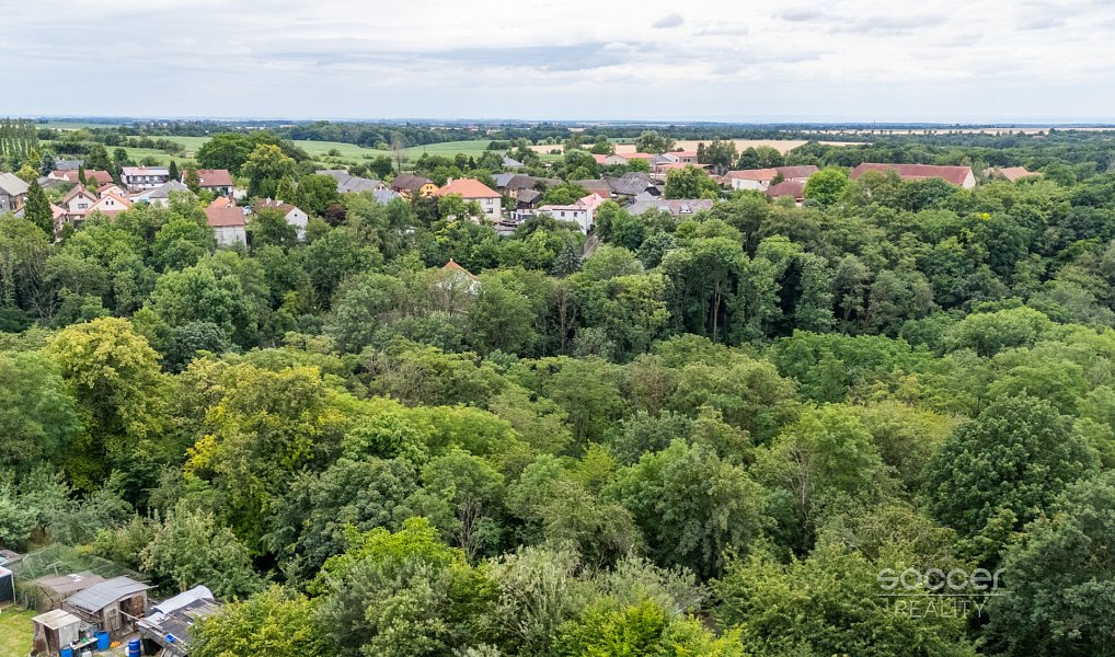 Prodej stavebního pozemku 3 286 m², Mšeno – náhled fotky 14