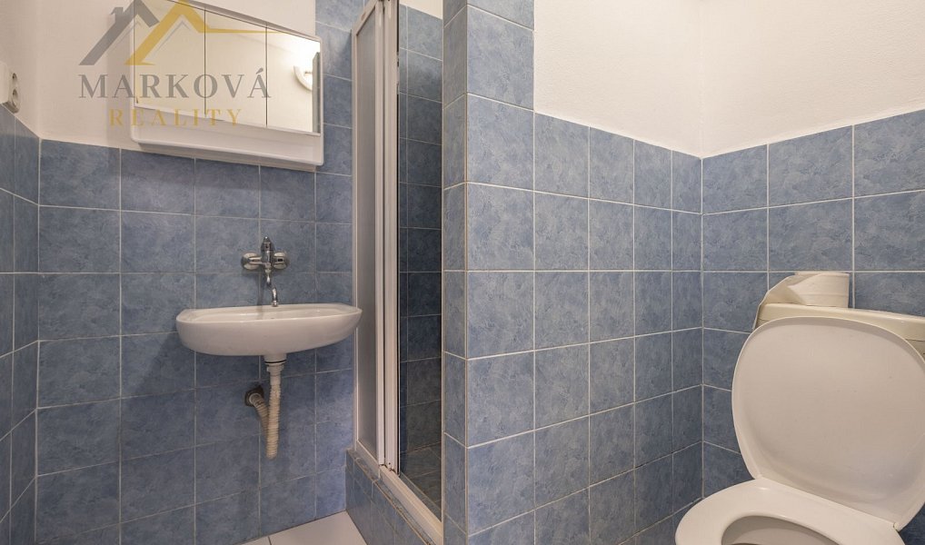 Prodej komerčního objektu (jiného typu) 275 m², Týn nad Vltavou – náhled fotky 19