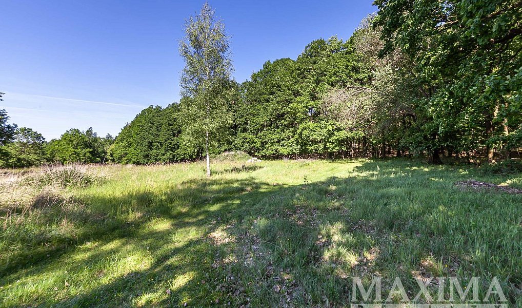 Prodej stavebního pozemku 4 612 m², Hluboš – náhled fotky 4