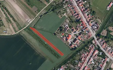 Prodej pole 33 801 m², Kobylí, okres Břeclav