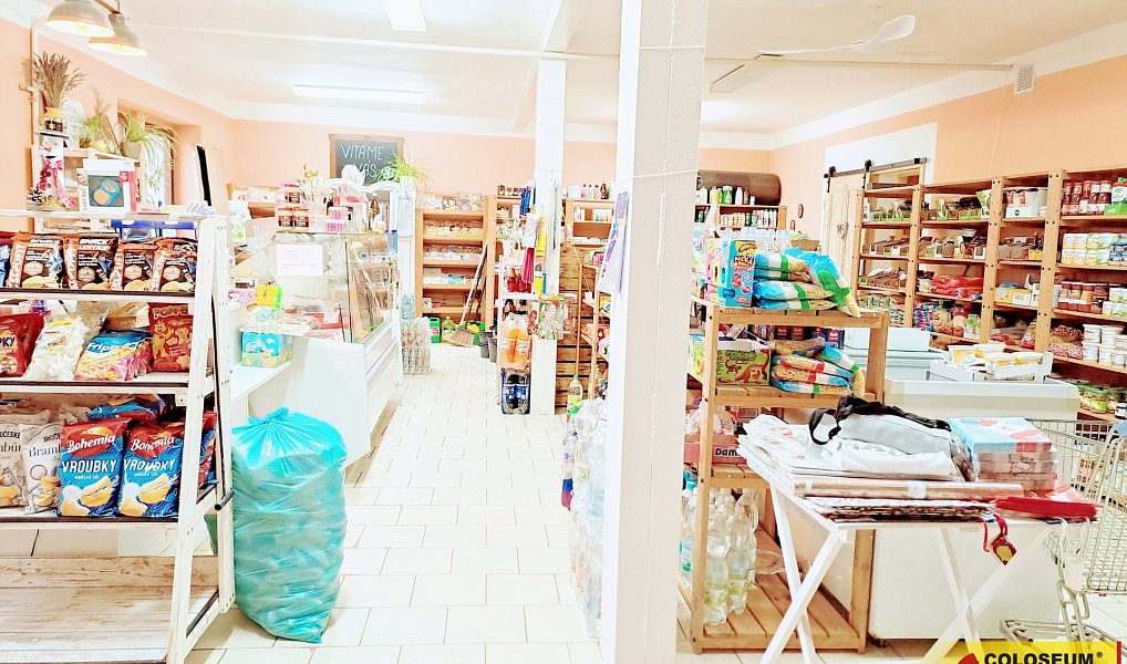 Pronájem obchodních prostor 69 m², Dyje – náhled fotky 9