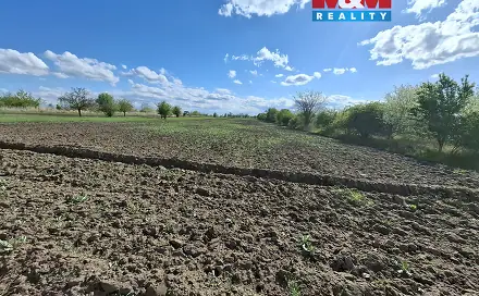 Ostatní