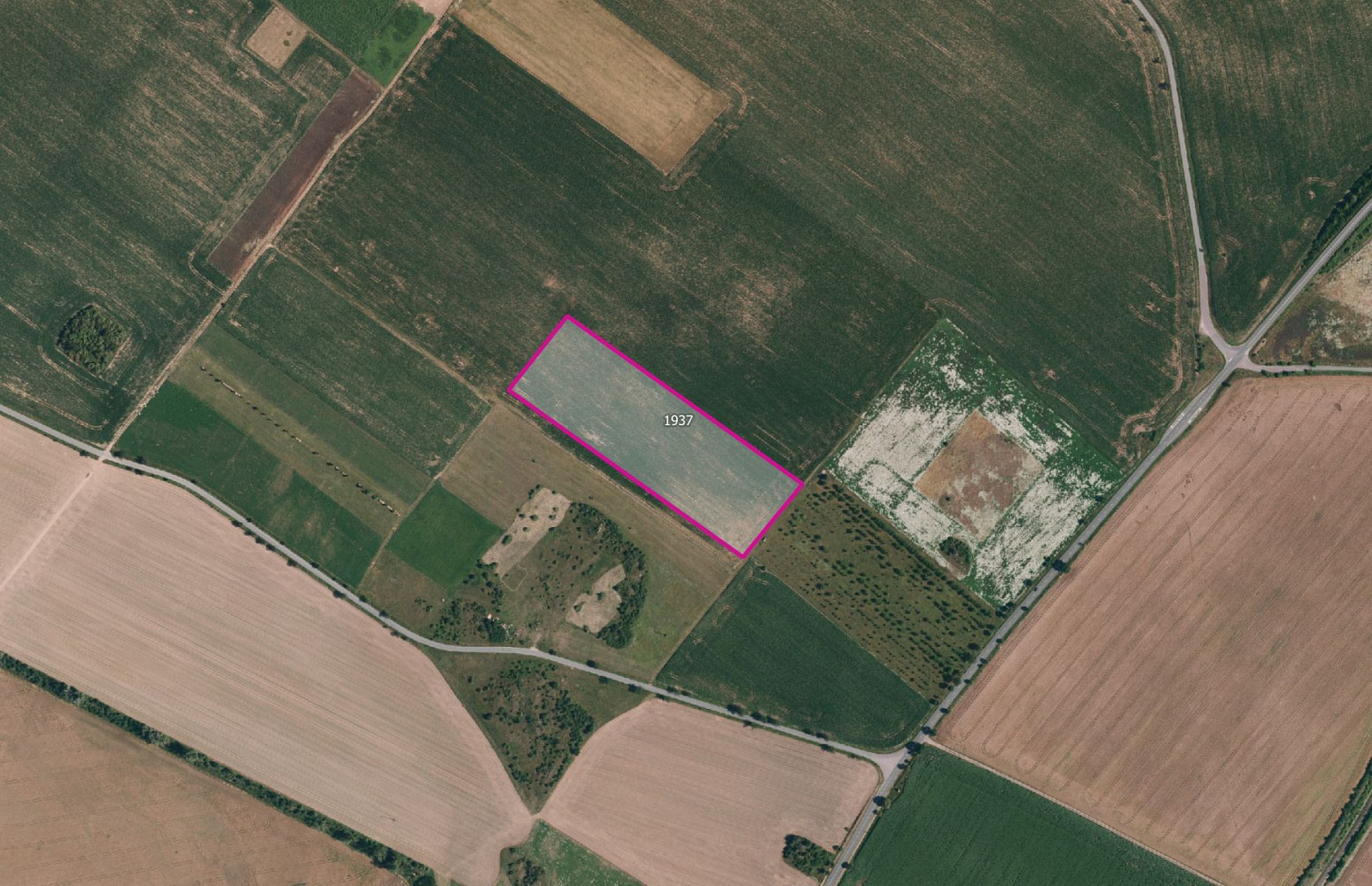 Prodej pole 12 769 m²