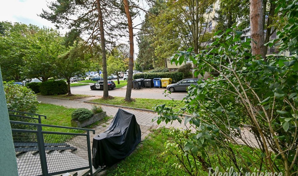 Pronájem bytu 2+1 38 m², Brno – náhled fotky 13