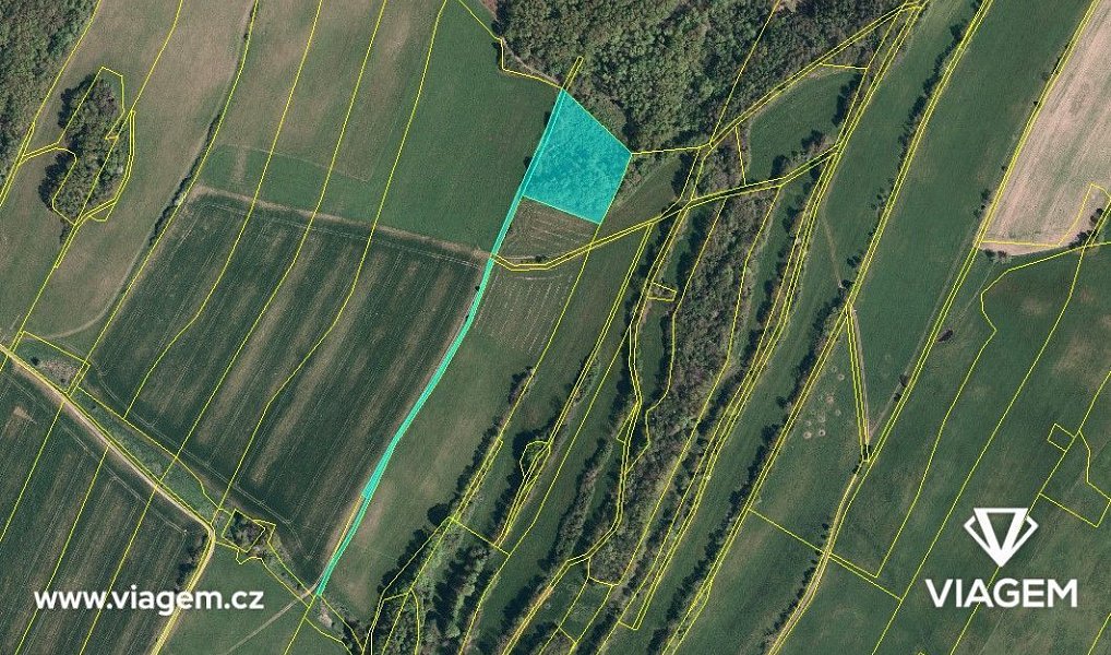 Prodej lesa 9 587 m², Liptaň – náhled fotky 3