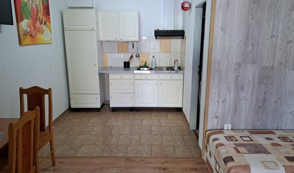 Pronájem bytu 1+kk 29 m², Jámy – náhled fotky 9
