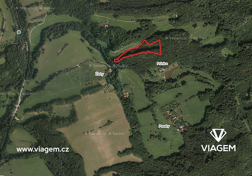 Prodej lesa 2 332 m²