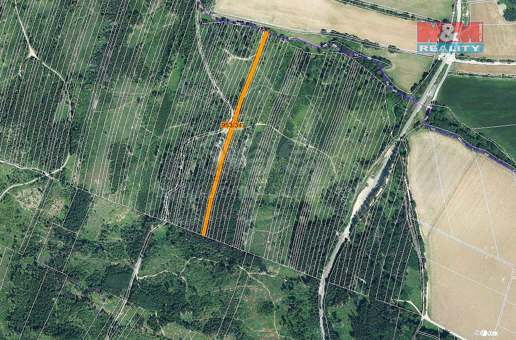 Prodej lesa 5 346 m² – pohled 3