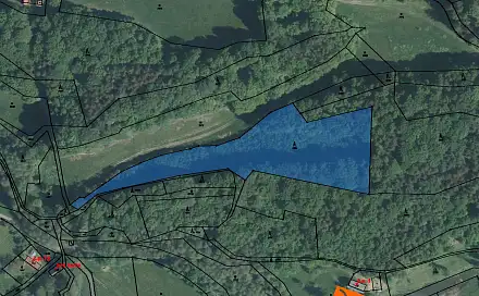 Prodej lesa 2 332 m², Lutonina, okres Zlín