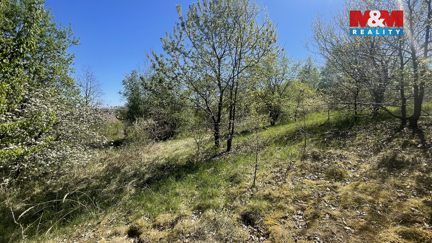 Prodej stavebního pozemku 3 556 m² — photo 4