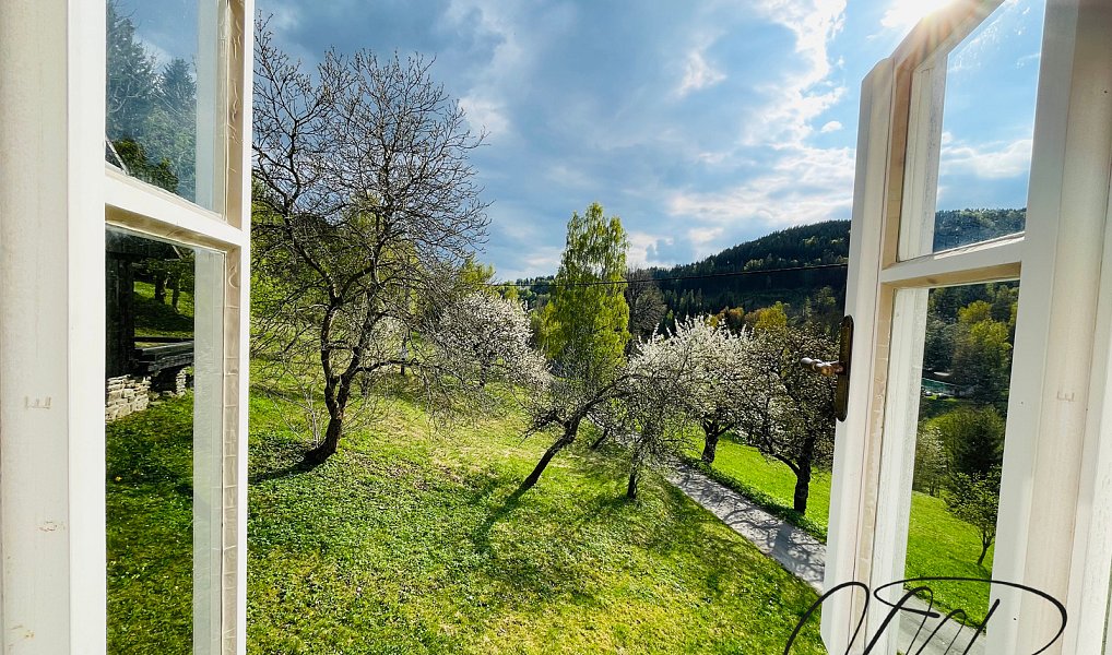 Prodej chaty/chalupy 320 m² s pozemkem 41 078 m², Jablonec nad Jizerou – náhled fotky 2