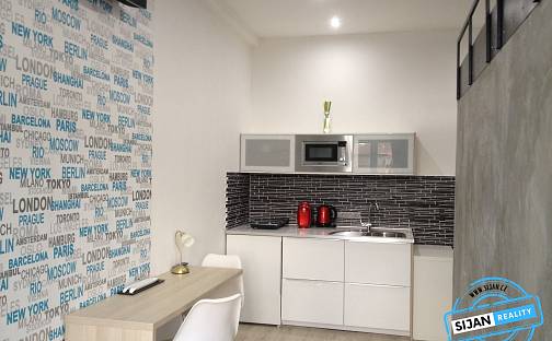 Pronájem bytu 1+kk 26 m², U Sokolovny, Ostrava - Petřkovice
