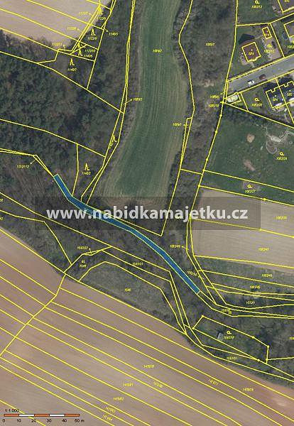 Prodej lesa 439 m²
