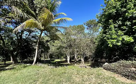 Prodej stavebního pozemku 1 966 m², Coxen Hole, Roatán, Honduras