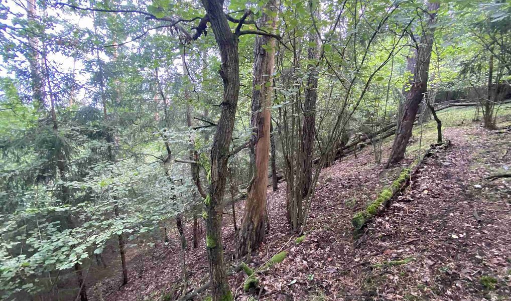Prodej pozemku 3 382 m², Křečovice – náhled fotky 3