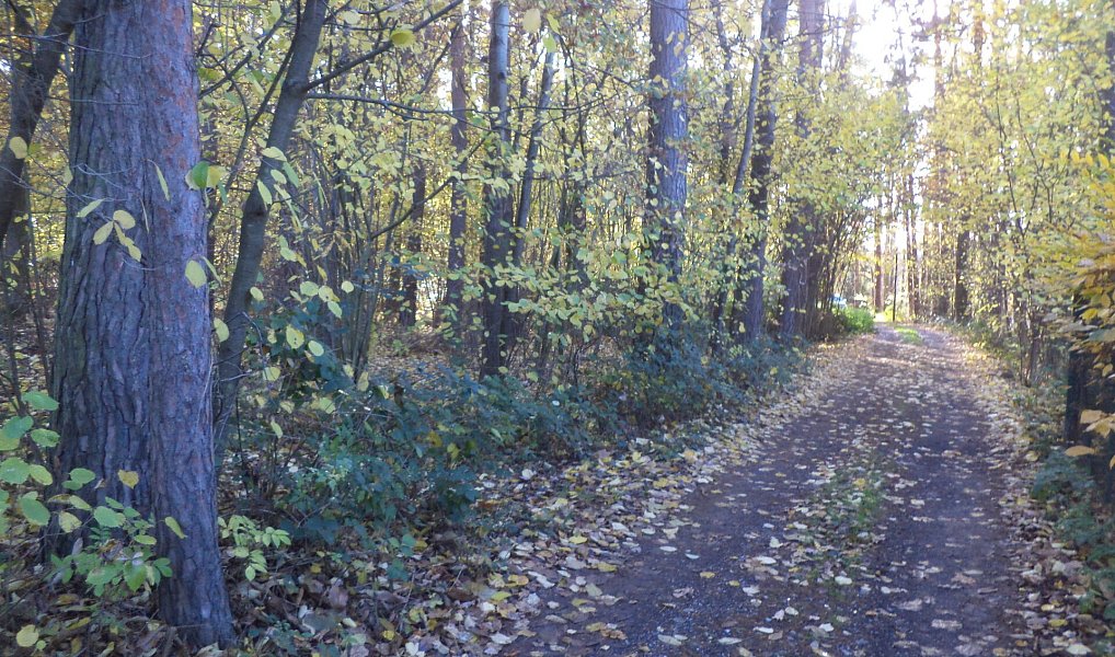 Prodej pozemku 2 102 m², Římov – náhled fotky 6