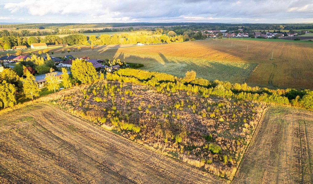 Prodej stavebního pozemku 6 666 m², Smidary – náhled fotky 8