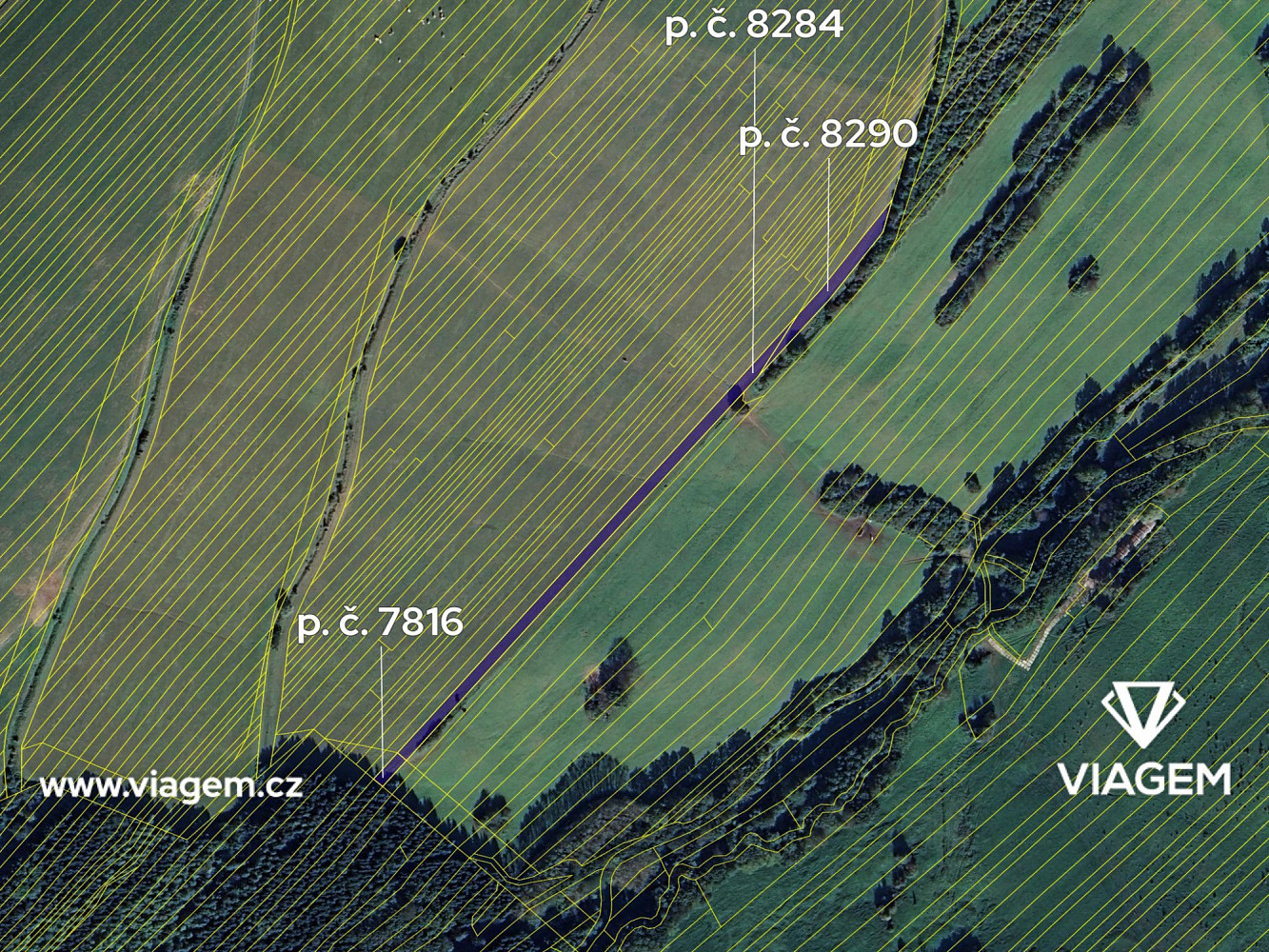 Prodej pole 811 m² – fotografie 4
