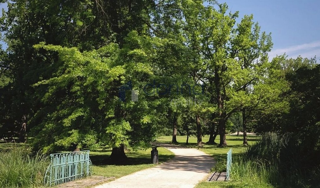 Pronájem bytu 3+kk 100 m², Praha – náhled fotky 24