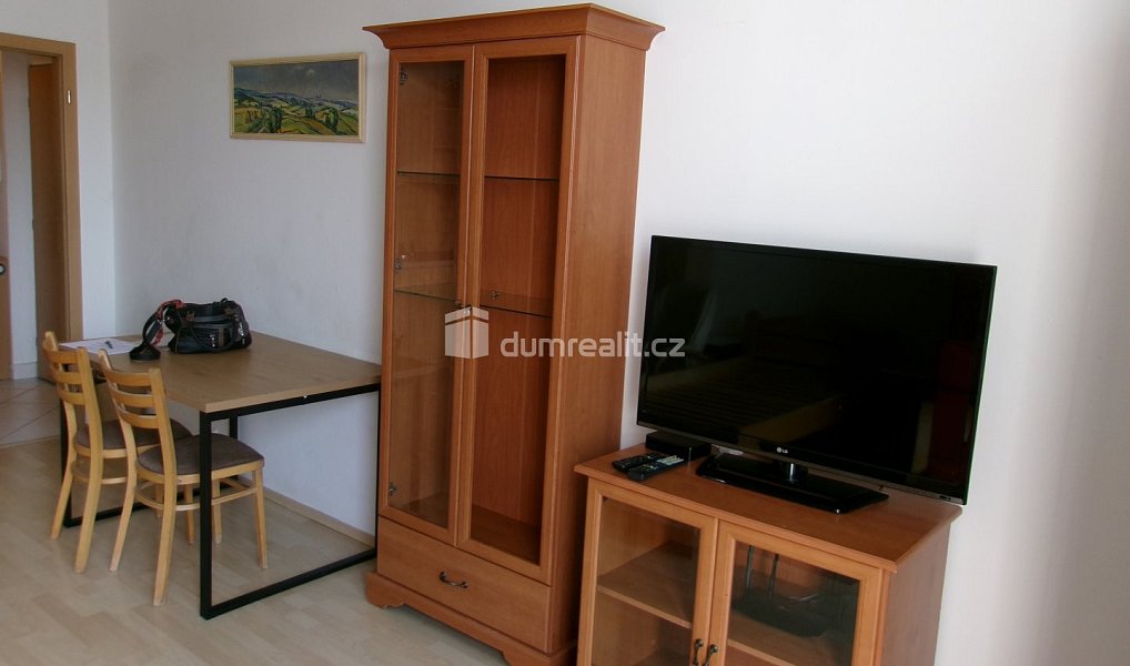 Pronájem bytu 1+kk 39 m², Mladá Boleslav – náhled fotky 9