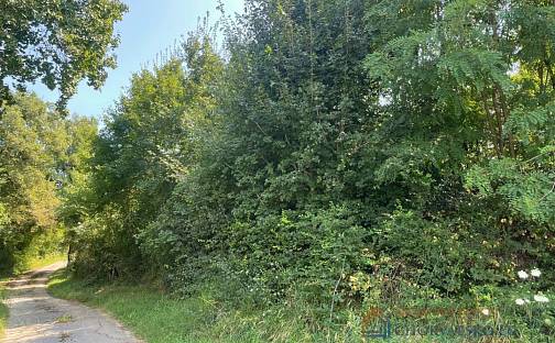 Prodej stavebního pozemku 730 m², Pićan, Chorvatsko