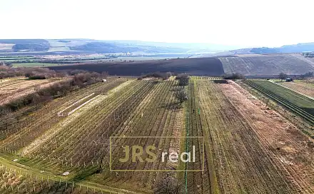 Prodej pole 4 065 m², Brumovice, okres Břeclav