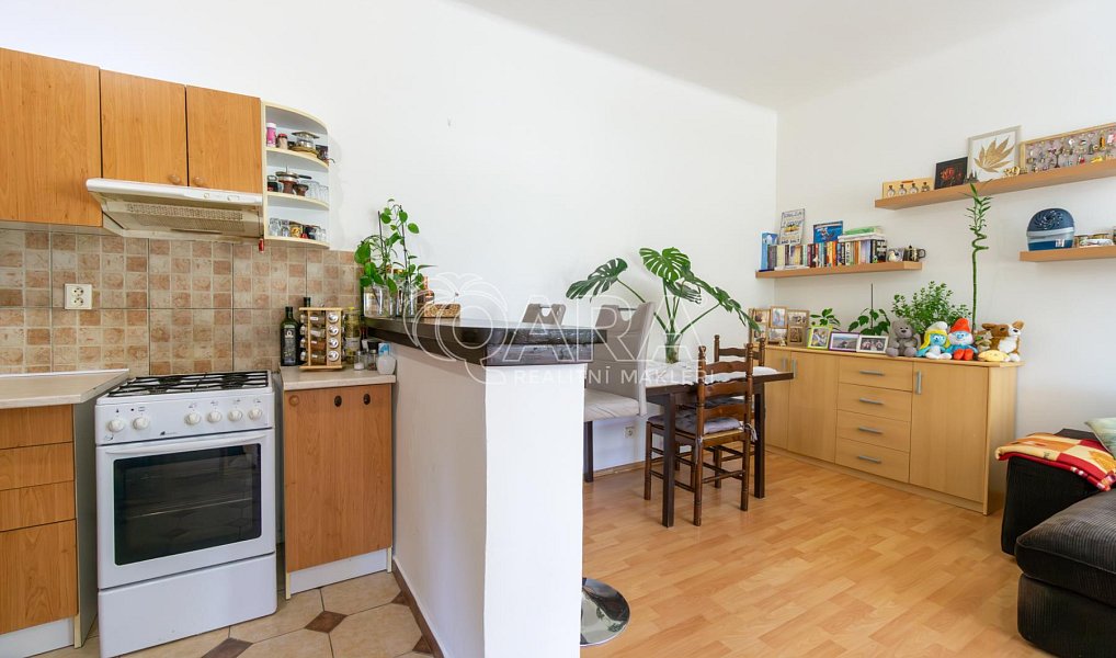 Prodej bytu 2+kk 44 m², Praha – náhled fotky 2
